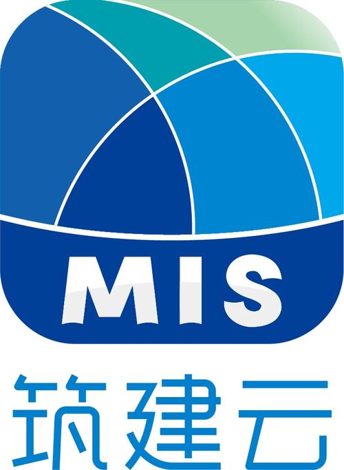 信息技术咨询服务 数字化转型的引擎与价值共创伙伴